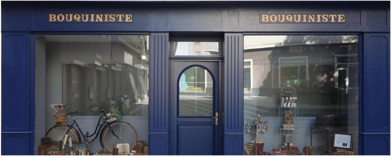 Le Bouquiniste, Centre Historique, Fibre, Ess, Rez-De-Chaussee, Bedinshop Romans-sur-Isère Exteriér fotografie