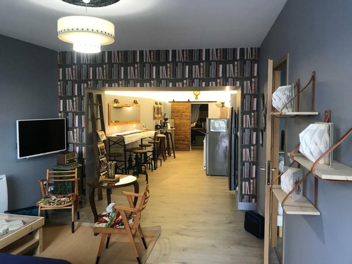 Le Bouquiniste, Centre Historique, Fibre, Ess, Rez-De-Chaussee, Bedinshop Romans-sur-Isère Exteriér fotografie