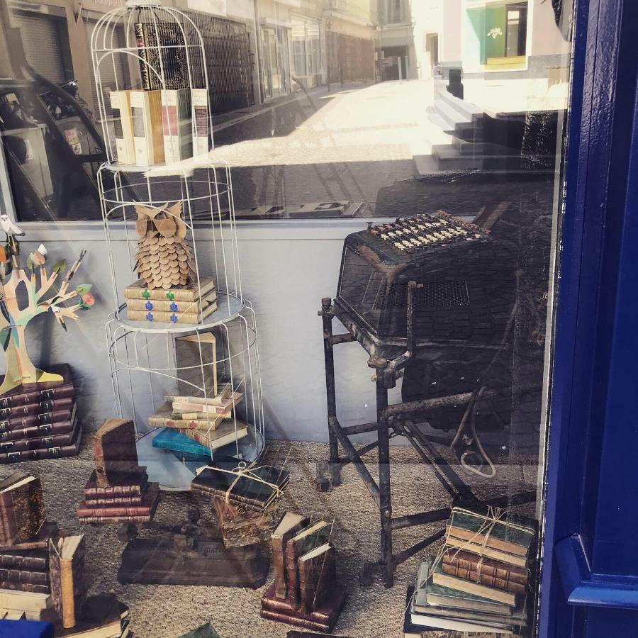 Le Bouquiniste, Centre Historique, Fibre, Ess, Rez-De-Chaussee, Bedinshop Romans-sur-Isère Exteriér fotografie